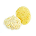 COFFRET VITAMINE C